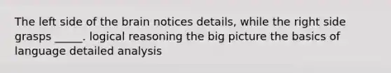The left side of the brain notices details, while the right side grasps _____. logical reasoning the big picture the basics of language detailed analysis