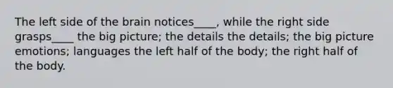 The left side of the brain notices____, while the right side grasps____ the big picture; the details the details; the big picture emotions; languages the left half of the body; the right half of the body.