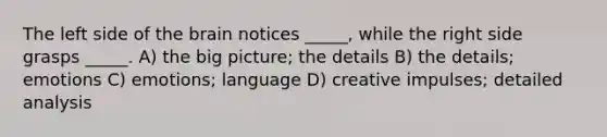 The left side of the brain notices _____, while the right side grasps _____. A) the big picture; the details B) the details; emotions C) emotions; language D) creative impulses; detailed analysis