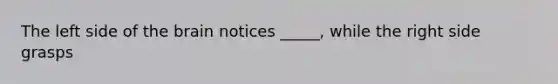 The left side of the brain notices _____, while the right side grasps