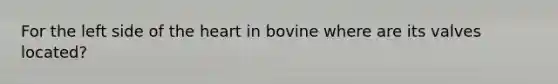 For the left side of the heart in bovine where are its valves located?