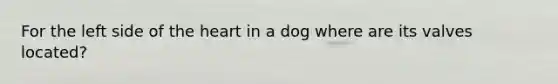 For the left side of the heart in a dog where are its valves located?