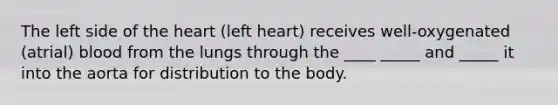 The left side of the heart (left heart) receives well-oxygenated (atrial) blood from the lungs through the ____ _____ and _____ it into the aorta for distribution to the body.