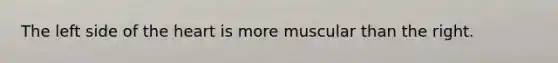 The left side of the heart is more muscular than the right.