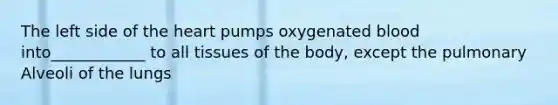 The left side of the heart pumps oxygenated blood into____________ to all tissues of the body, except the pulmonary Alveoli of the lungs