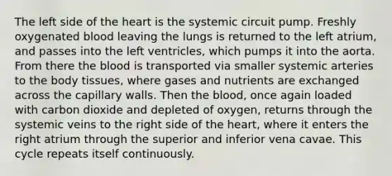 The left side of the heart is the systemic circuit pump. Freshly oxygenated blood leaving the lungs is returned to the left atrium, and passes into the left ventricles, which pumps it into the aorta. From there the blood is transported via smaller systemic arteries to the body tissues, where gases and nutrients are exchanged across the capillary walls. Then the blood, once again loaded with carbon dioxide and depleted of oxygen, returns through the systemic veins to the right side of the heart, where it enters the right atrium through the superior and inferior vena cavae. This cycle repeats itself continuously.