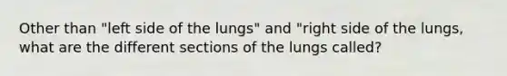 Other than "left side of the lungs" and "right side of the lungs, what are the different sections of the lungs called?