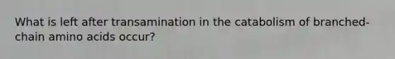 What is left after transamination in the catabolism of branched-chain <a href='https://www.questionai.com/knowledge/k9gb720LCl-amino-acids' class='anchor-knowledge'>amino acids</a> occur?