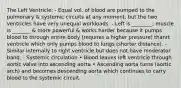 The Left Ventricle: - Equal vol. of blood are pumped to the pulmonary & systemic circuits at any moment, but the two ventricles have very unequal workloads. - Left is ________; muscle is _______ & more powerful & works harder because it pumps blood to through entire body (requires a higher pressure) thanrt ventricle which only pumps blood to lungs (shorter distance). - Similar internally to right ventricle but does not have moderator band. - Systemic circulation • Blood leaves left ventricle through aortic valve into ascending aorta • Ascending aorta turns (aortic arch) and becomes descending aorta which continues to carry blood to the systemic circuit.