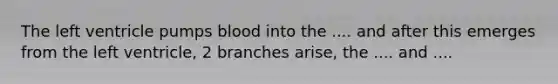 The left ventricle pumps blood into the .... and after this emerges from the left ventricle, 2 branches arise, the .... and ....