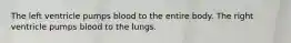 The left ventricle pumps blood to the entire body. The right ventricle pumps blood to the lungs.