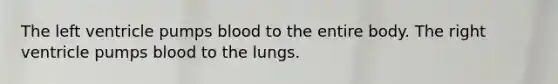 The left ventricle pumps blood to the entire body. The right ventricle pumps blood to the lungs.