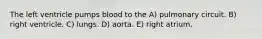 The left ventricle pumps blood to the A) pulmonary circuit. B) right ventricle. C) lungs. D) aorta. E) right atrium.