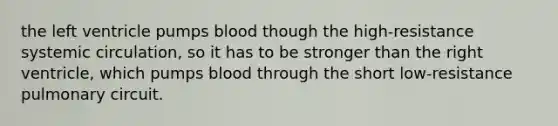 the left ventricle pumps blood though the high-resistance systemic circulation, so it has to be stronger than the right ventricle, which pumps blood through the short low-resistance pulmonary circuit.