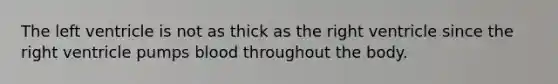 The left ventricle is not as thick as the right ventricle since the right ventricle pumps blood throughout the body.