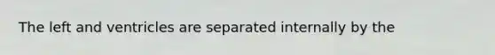 The left and ventricles are separated internally by the