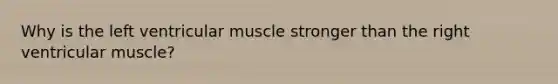 Why is the left ventricular muscle stronger than the right ventricular muscle?