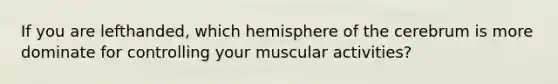 If you are lefthanded, which hemisphere of the cerebrum is more dominate for controlling your muscular activities?