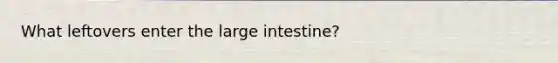 What leftovers enter the large intestine?