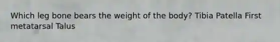 Which leg bone bears the weight of the body? Tibia Patella First metatarsal Talus