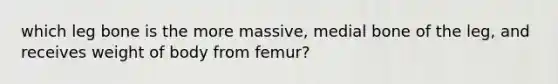 which leg bone is the more massive, medial bone of the leg, and receives weight of body from femur?