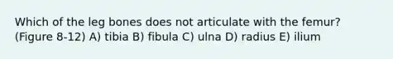 Which of the leg bones does not articulate with the femur? (Figure 8-12) A) tibia B) fibula C) ulna D) radius E) ilium