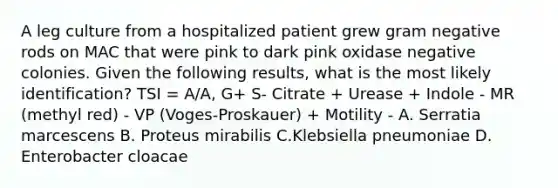 A leg culture from a hospitalized patient grew gram negative rods on MAC that were pink to dark pink oxidase negative colonies. Given the following results, what is the most likely identification? TSI = A/A, G+ S- Citrate + Urease + Indole - MR (methyl red) - VP (Voges-Proskauer) + Motility - A. Serratia marcescens B. Proteus mirabilis C.Klebsiella pneumoniae D. Enterobacter cloacae