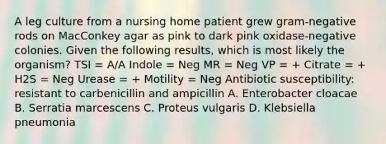 A leg culture from a nursing home patient grew gram-negative rods on MacConkey agar as pink to dark pink oxidase-negative colonies. Given the following results, which is most likely the organism? TSI = A/A Indole = Neg MR = Neg VP = + Citrate = + H2S = Neg Urease = + Motility = Neg Antibiotic susceptibility: resistant to carbenicillin and ampicillin A. Enterobacter cloacae B. Serratia marcescens C. Proteus vulgaris D. Klebsiella pneumonia