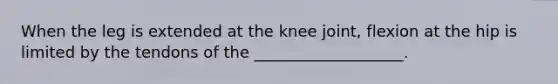 When the leg is extended at the knee joint, flexion at the hip is limited by the tendons of the ___________________.