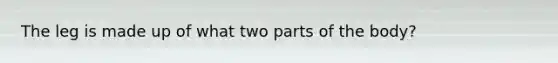 The leg is made up of what two parts of the body?