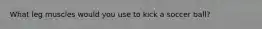 What leg muscles would you use to kick a soccer ball?