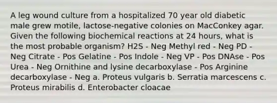 A leg wound culture from a hospitalized 70 year old diabetic male grew motile, lactose-negative colonies on MacConkey agar. Given the following biochemical reactions at 24 hours, what is the most probable organism? H2S - Neg Methyl red - Neg PD - Neg Citrate - Pos Gelatine - Pos Indole - Neg VP - Pos DNAse - Pos Urea - Neg Ornithine and lysine decarboxylase - Pos Arginine decarboxylase - Neg a. Proteus vulgaris b. Serratia marcescens c. Proteus mirabilis d. Enterobacter cloacae