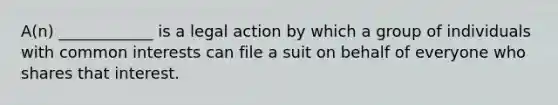 A(n) ____________ is a legal action by which a group of individuals with common interests can file a suit on behalf of everyone who shares that interest.