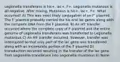 Legionella transferans is his+, lac+, F+. Legionella mutanous is all negative. After mixing, Mutanous is his+, lac+, F+. What occurred? A) This was most likely conjugation of an F' plasmid. The F' plasmid probably carried the his and lac genes along with the complete DNA from the F plasmid. B) An Hfr transfer occurred where the complete copy of F plasmid and the entire genome of Legionella transferans was transferred to Legionella mutanous C) An Hfr transfer occurred, however, transfer was interrupted so that only part of the lac gene was transferred along with an incomplete portion of the F plasmid D) transduction occurred resulting in the transfer of the lac gene from Legionella transferans into Legionella muatnous E) None