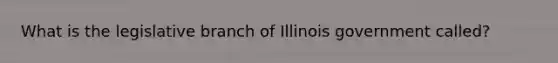 What is the legislative branch of Illinois government called?