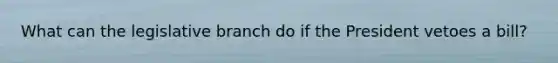 What can the legislative branch do if the President vetoes a bill?