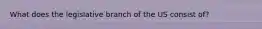 What does the legislative branch of the US consist of?