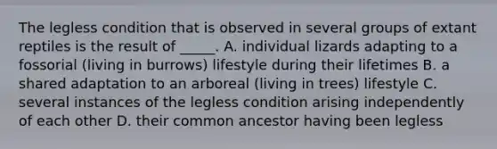 The legless condition that is observed in several groups of extant reptiles is the result of _____. A. individual lizards adapting to a fossorial (living in burrows) lifestyle during their lifetimes B. a shared adaptation to an arboreal (living in trees) lifestyle C. several instances of the legless condition arising independently of each other D. their common ancestor having been legless