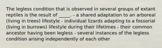 The legless condition that is observed in several groups of extant reptiles is the result of _____. - a shared adaptation to an arboreal (living in trees) lifestyle - individual lizards adapting to a fossorial (living in burrows) lifestyle during their lifetimes - their common ancestor having been legless - several instances of the legless condition arising independently of each other