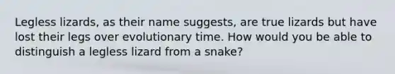 Legless lizards, as their name suggests, are true lizards but have lost their legs over evolutionary time. How would you be able to distinguish a legless lizard from a snake?