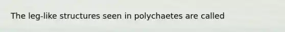 The leg-like structures seen in polychaetes are called