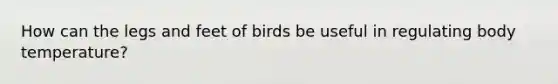 How can the legs and feet of birds be useful in regulating body temperature?