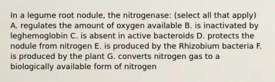 In a legume root nodule, the nitrogenase: (select all that apply) A. regulates the amount of oxygen available B. is inactivated by leghemoglobin C. is absent in active bacteroids D. protects the nodule from nitrogen E. is produced by the Rhizobium bacteria F. is produced by the plant G. converts nitrogen gas to a biologically available form of nitrogen