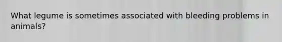 What legume is sometimes associated with bleeding problems in animals?