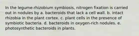 In the legume-rhizobium symbiosis, nitrogen fixation is carried out in nodules by a. bacteroids that lack a cell wall. b. intact rhizobia in the plant cortex. c. plant cells in the presence of symbiotic bacteria. d. bacteroids in oxygen-rich nodules. e. photosynthetic bacteroids in plants.