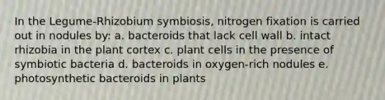 In the Legume-Rhizobium symbiosis, nitrogen fixation is carried out in nodules by: a. bacteroids that lack cell wall b. intact rhizobia in the plant cortex c. plant cells in the presence of symbiotic bacteria d. bacteroids in oxygen-rich nodules e. photosynthetic bacteroids in plants