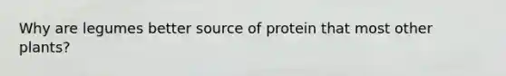 Why are legumes better source of protein that most other plants?