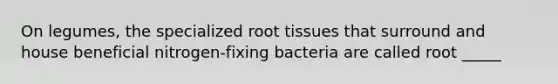 On legumes, the specialized root tissues that surround and house beneficial nitrogen-fixing bacteria are called root _____