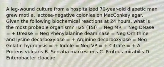 A leg-wound culture from a hospitalized 70-year-old diabetic man grew motile, lactose-negative colonies on MacConkey agar. Given the following biochemical reactions at 24 hours, what is the most probable organism? H2S (TSI) = Neg MR = Neg DNase = + Urease = Neg Phenylalanine deaminase = Neg Ornithine and lysine decarboxylase = + Arginine decarboxylase = Neg Gelatin hydrolysis = + Indole = Neg VP = + Citrate = + A. Proteus vulgaris B. Serratia marcescens C. Proteus mirabilis D. Enterobacter cloacae