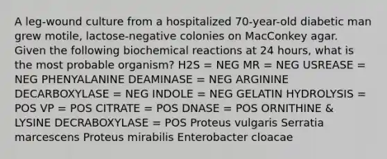 A leg-wound culture from a hospitalized 70-year-old diabetic man grew motile, lactose-negative colonies on MacConkey agar. Given the following biochemical reactions at 24 hours, what is the most probable organism? H2S = NEG MR = NEG USREASE = NEG PHENYALANINE DEAMINASE = NEG ARGININE DECARBOXYLASE = NEG INDOLE = NEG GELATIN HYDROLYSIS = POS VP = POS CITRATE = POS DNASE = POS ORNITHINE & LYSINE DECRABOXYLASE = POS Proteus vulgaris Serratia marcescens Proteus mirabilis Enterobacter cloacae